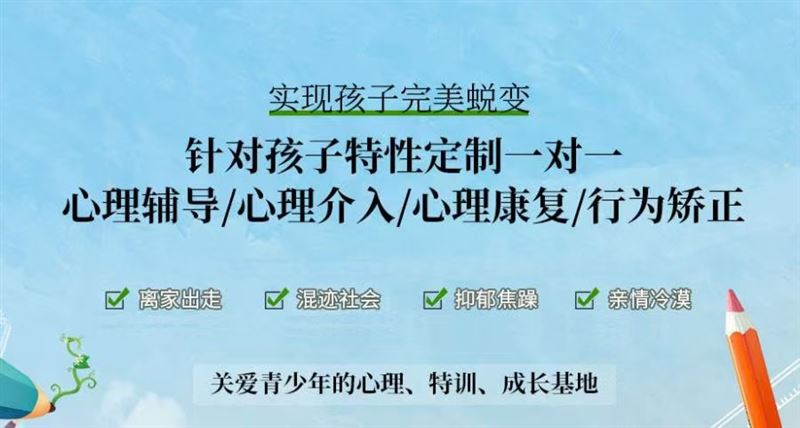 锦辉青少年心理素质教育